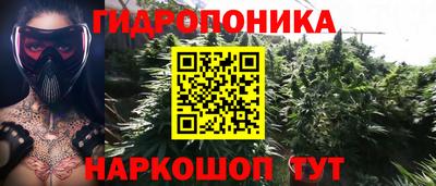 гидропоника Краснознаменск