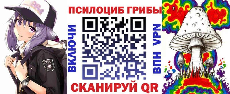 МЕГА маркетплейс  Дубна  Галлюциногенные грибы Magic Shrooms  закладка 