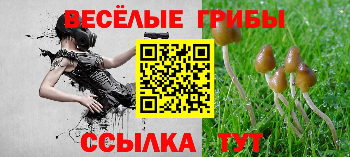 Дубна  Псилоцибиновые грибы Magic Shrooms  Вход с VPN  Галлюциногенные грибы мухоморы 