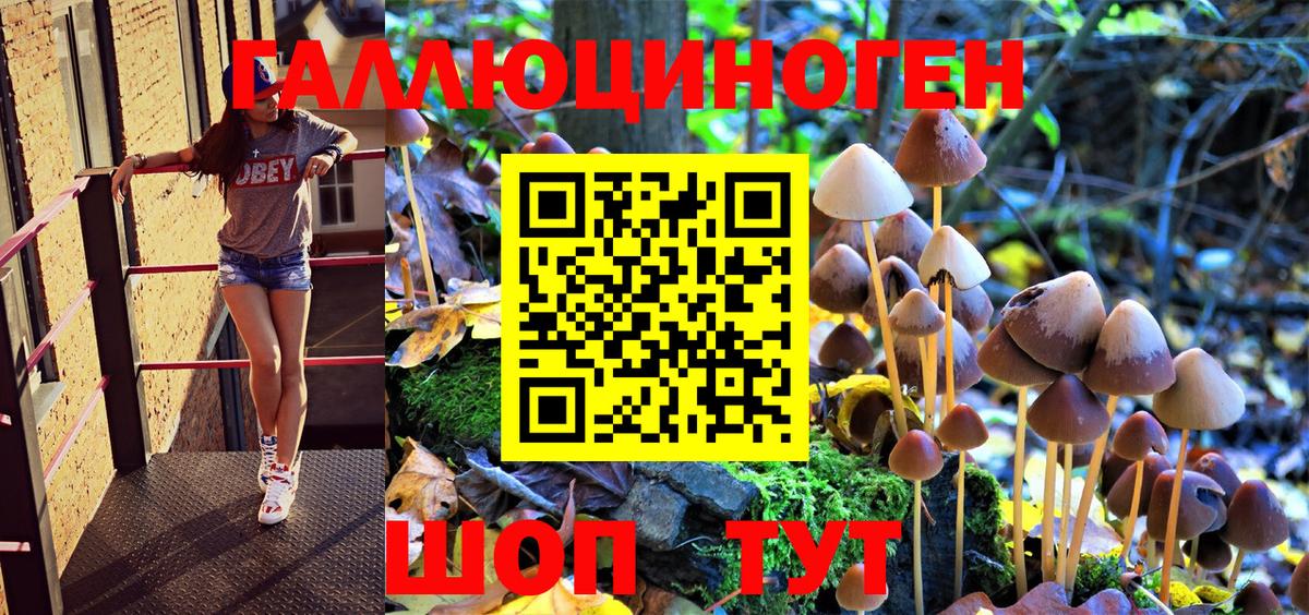 Галлюциногенные грибы Magic Shrooms Дубна