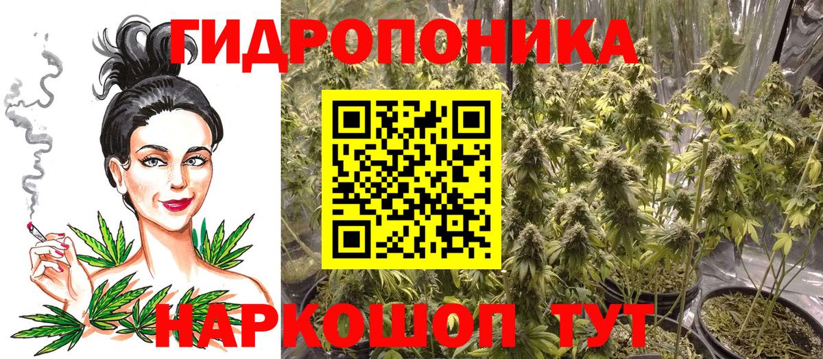 Бошки Шишки сатива  Бошки Шишки семена  Дубна  Вход с VPN 